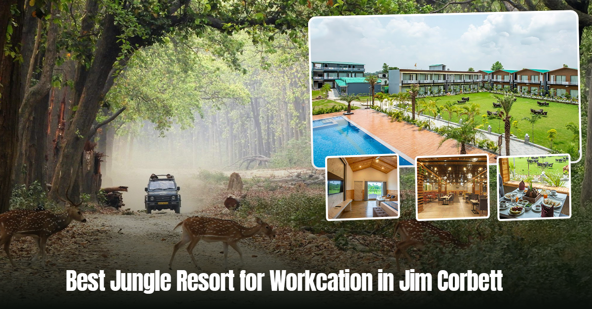 Best jungle resort for workcation in Jim Corbett with wildlife safari, luxury stay, pool and nature views