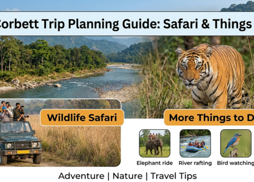 Jim Corbett Trip Planning Guide: Safari & Things to Do