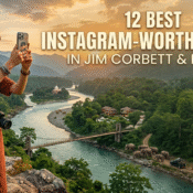 Woman capturing a scenic view of the Jim Corbett National Park landscape with a camera, surrounded by lush greenery, mountains, a river, and elephants. Featured in the top 12 Instagram-worthy places near Jim Corbett.