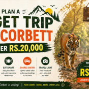 How to plan a budget trip to Jim Corbett under Rs. 20,000. Discover tips for early booking, budget stays, smart eating, shared safari options, and traveling light for an affordable wildlife adventure. Explore the beauty of Jim Corbett on a budget with Aavya Holidays.