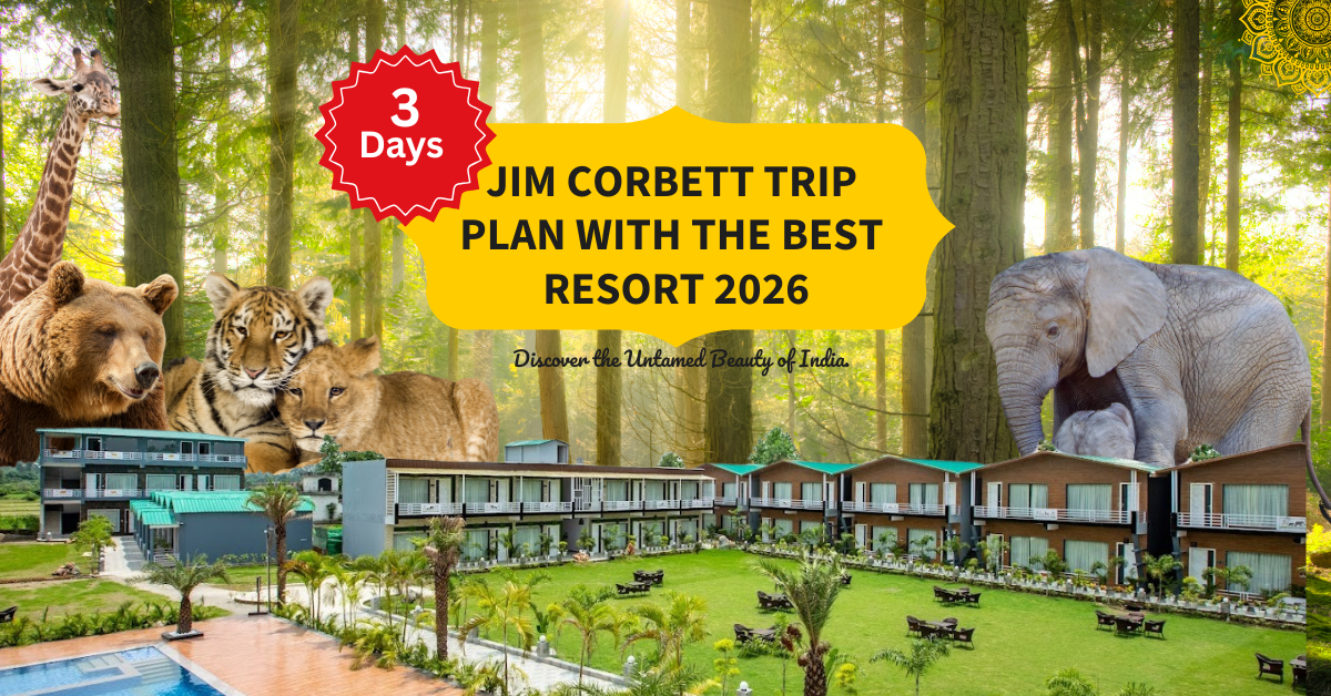 3 Days Jim Corbett Trip Plan with the Best Resort 2026, featuring wildlife encounters with bears, tigers, and elephants, and a luxurious stay at Countryard Resort