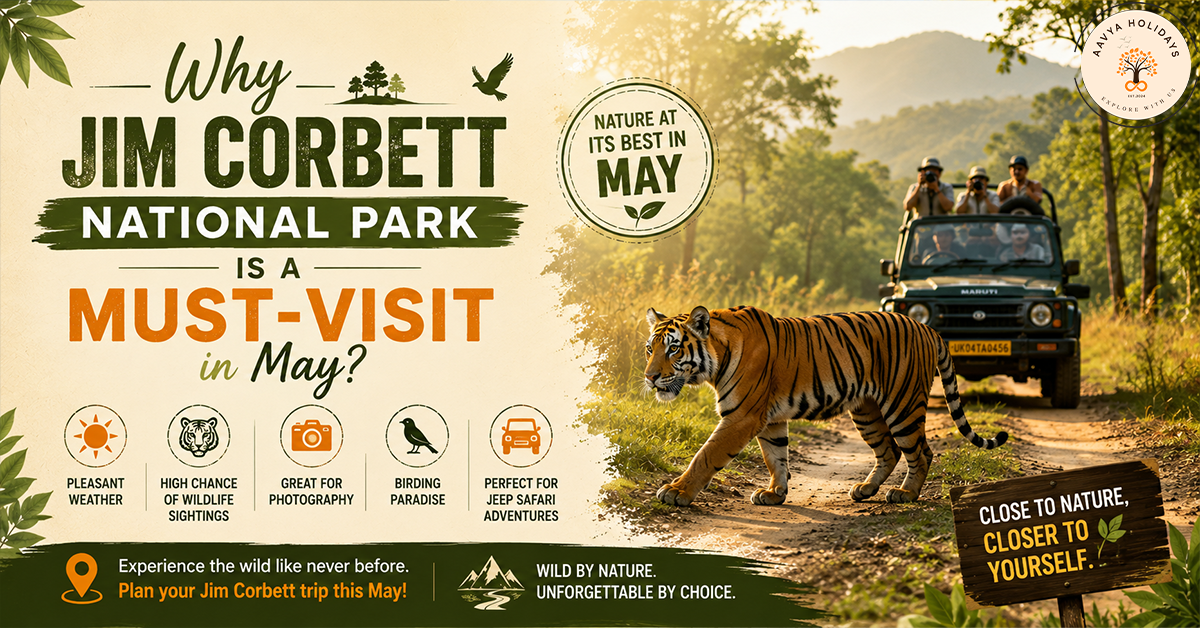 Why Jim Corbett National Park is a must-visit in May. Highlights include wildlife sightings, jungle safari adventures, birding, and photography in Uttarakhand.