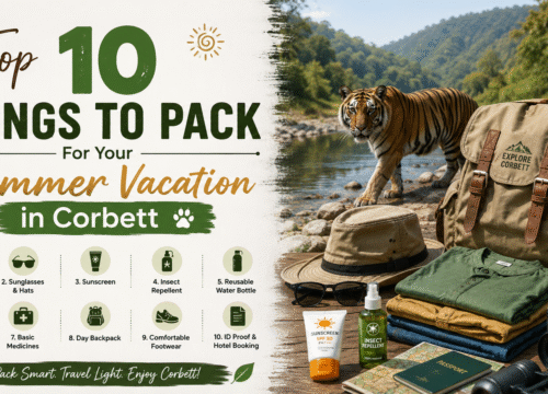 Top 10 Things to Pack For Your Summer Vacation in Corbett