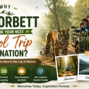Travel banner titled "Why Jim Corbett Should Be Your Next School Trip Destination?" featuring school students on a jungle safari jeep looking through binoculars at a Bengal tiger, with Polaroid-style photos highlighting adventure, exploration, and learning.