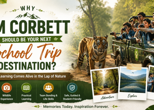 Why Jim Corbett Should Be Your Next School Trip Destination?
