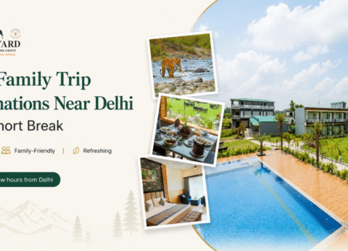 Best Family Trip Destinations Near Delhi for a Short Break