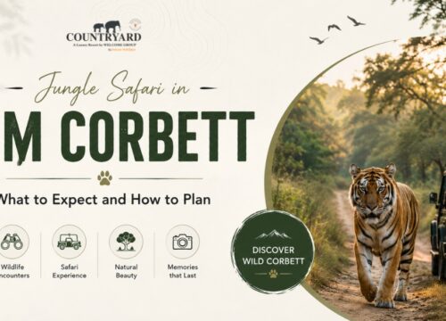 Jungle Safari in Jim Corbett: What to Expect and How to Plan
