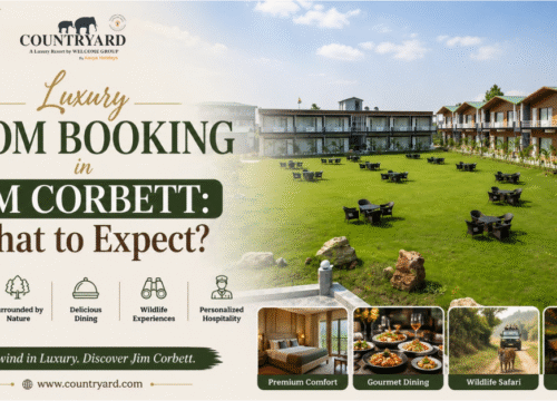 Luxury Room Booking in Jim Corbett: What to Expect?