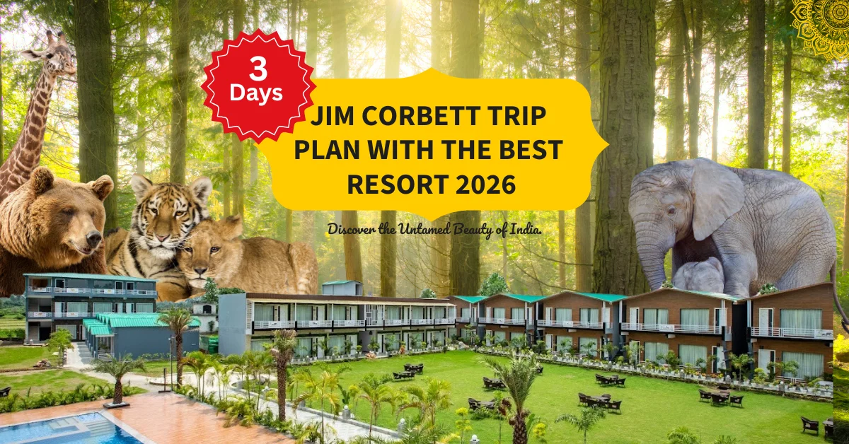 3 Days Jim Corbett Trip Plan with the Best Resort 2026, featuring wildlife encounters with bears, tigers, and elephants, and a luxurious stay at Countryard Resort